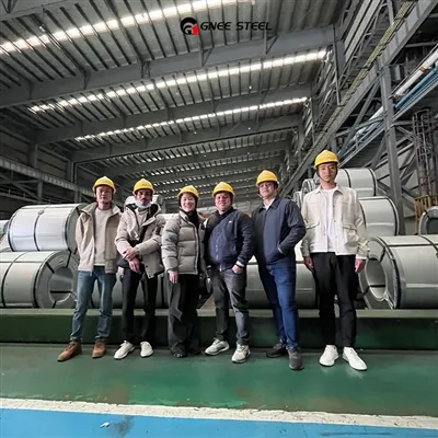 Velkommen indiske kunder til at besøge vores fabrik