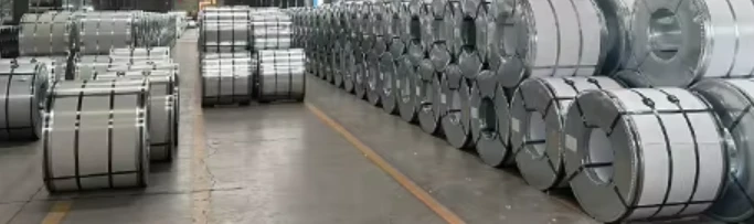 product-683-203 product-683-203